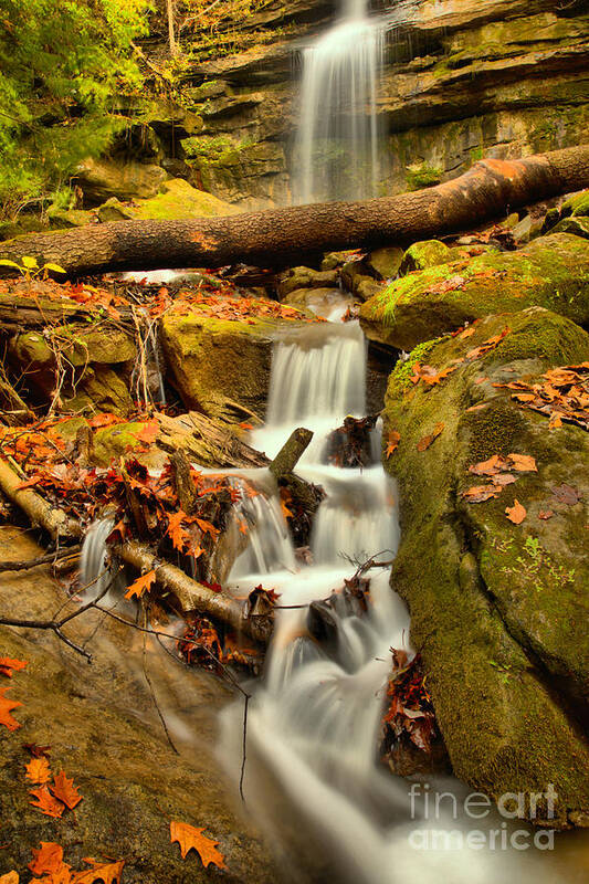 Alpha Falls Art Print featuring the photograph Autumn At McConnells Mill Alpha Falls by Adam Jewell