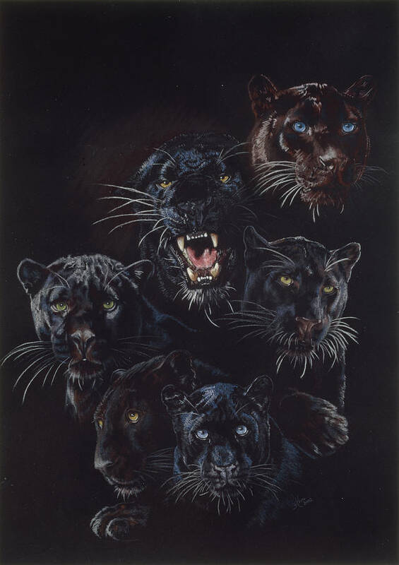 Six Panthers Art Print featuring the painting Onyx #1 by Barbara Keith