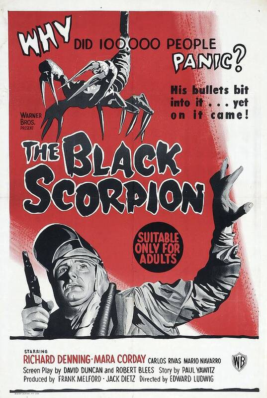 1950s Art Print featuring the photograph The Black Scorpion -1957-. #1 by Album
