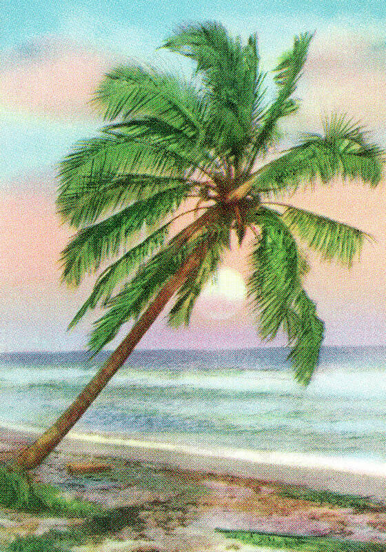 Beach Art Print featuring the drawing Tropical Sunset #1 by CSA Images