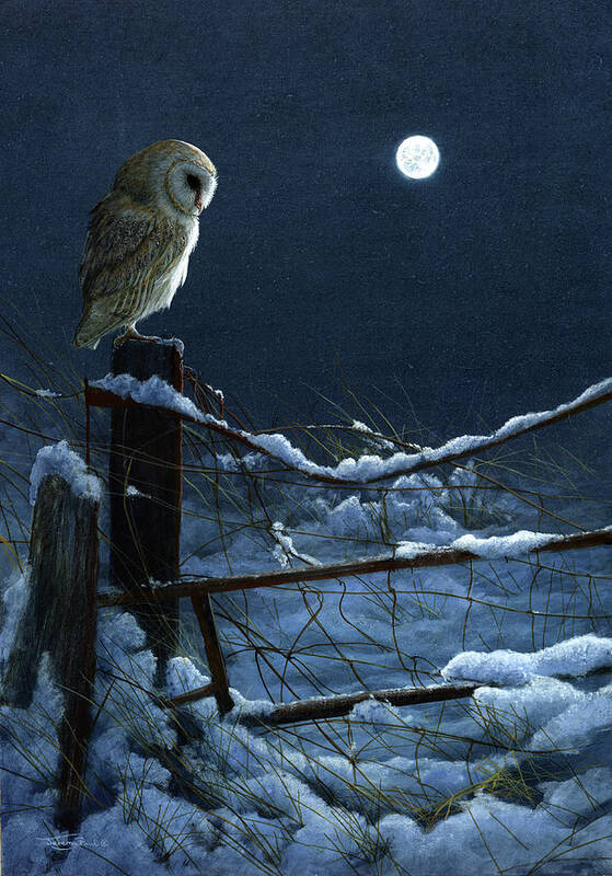 1074 Silent Night Barn Owl Art Print featuring the painting 1074 Silent Night Barn Owl by Jeremy Paul