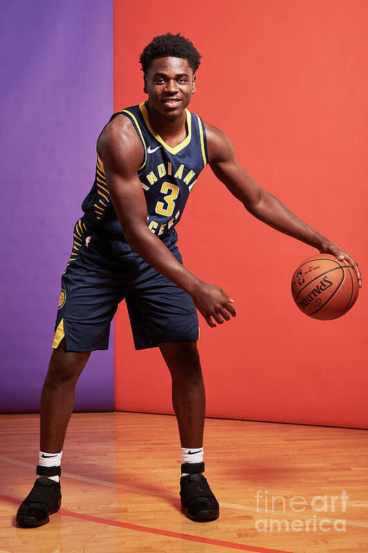 Aaron Holiday Art Print featuring the photograph 2018 Nba Rookie Photo Shoot #173 by Jennifer Pottheiser