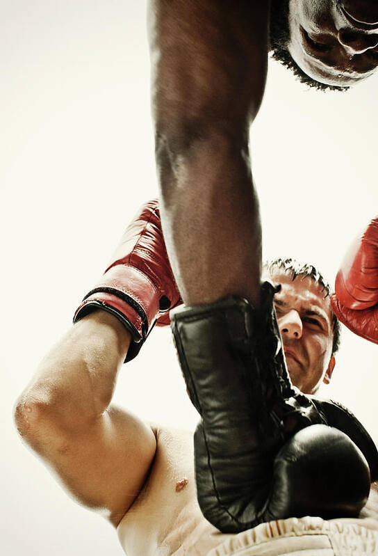 Focus Art Print featuring the photograph Boxing #2 by Patrik Giardino