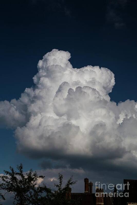 Atmospheric Phenomenon Art Print featuring the photograph Cumulus Congestus Clouds #2 by Stephen Burt/science Photo Library