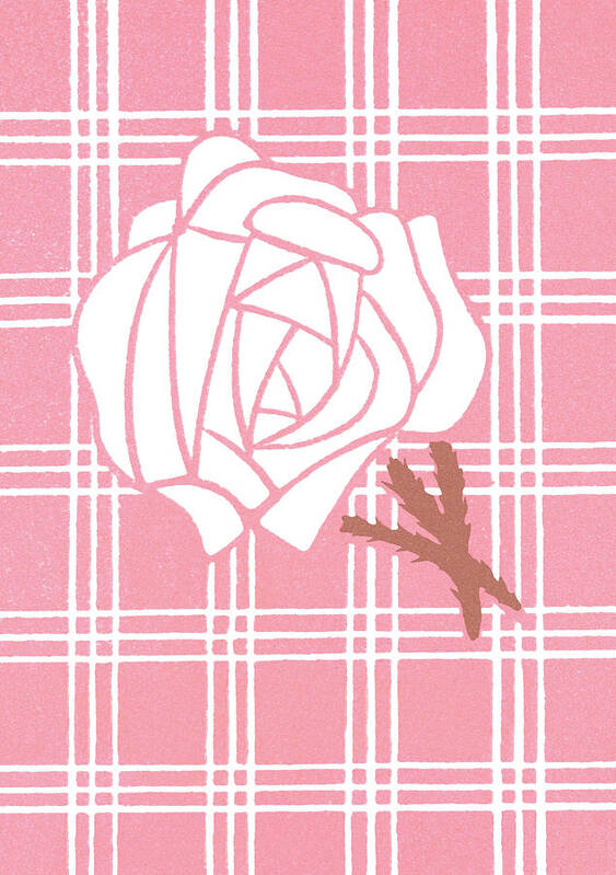 Background Art Print featuring the drawing Rose #20 by CSA Images