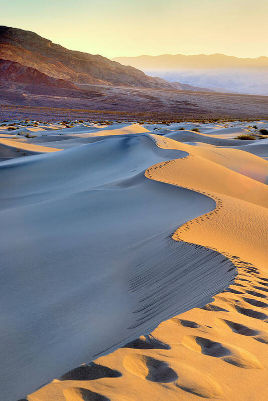 Estock Art Print featuring the digital art Sand Dunes, Death Valley, California #3 by Francesco Carovillano