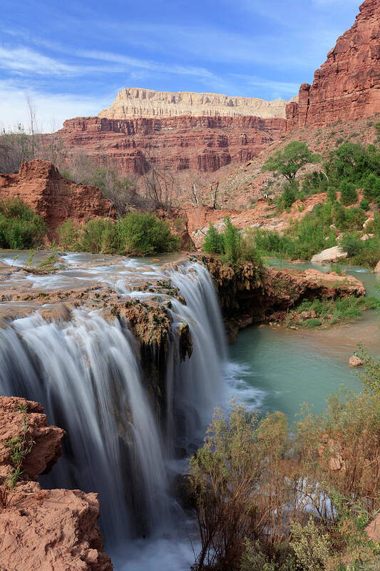 Navajo Falls Art Print featuring the photograph Grand Canyon National Park #45 by Michele Falzone