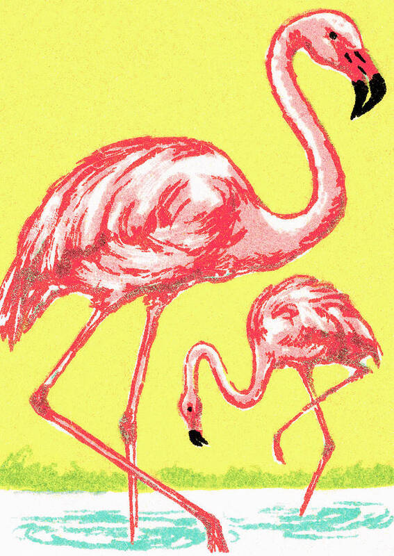 Animal Art Print featuring the drawing Flamingo #9 by CSA Images