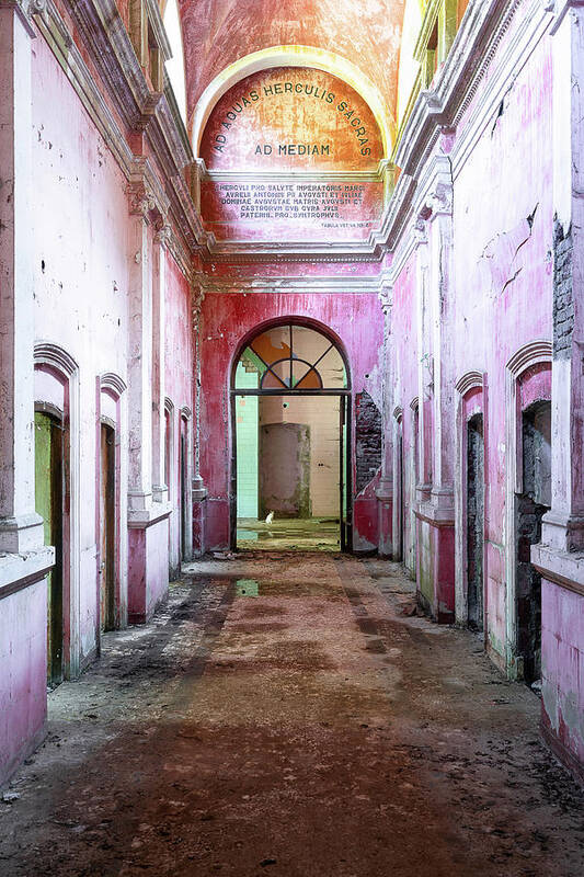 Urban Art Print featuring the photograph Abandoned Hallway in Decay with Cat by Roman Robroek
