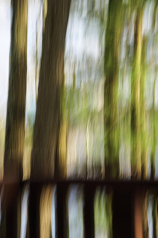 Blurry Trees Art Print featuring the photograph Abstract Trees by Tana Reiff