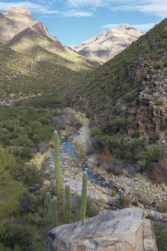 Scenics Art Print featuring the photograph Arizona Mountain Landscape. Bear Creek by Nkbimages