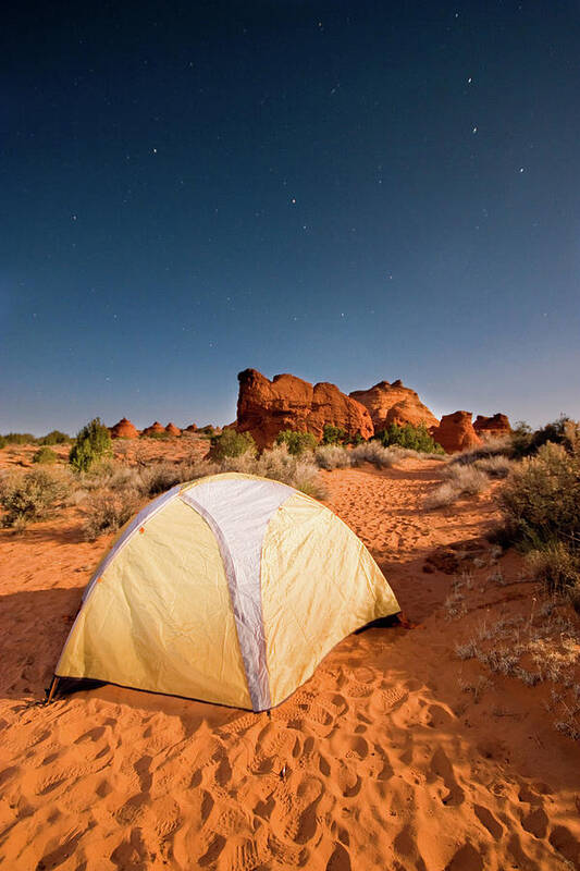 Tranquility Art Print featuring the photograph Arizona Nights by Daniel Cummins