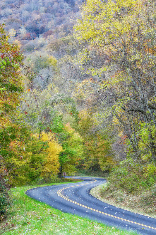 Blue Ridge Parkway Art Print featuring the photograph Autumn Road 2 by Nunweiler Photography