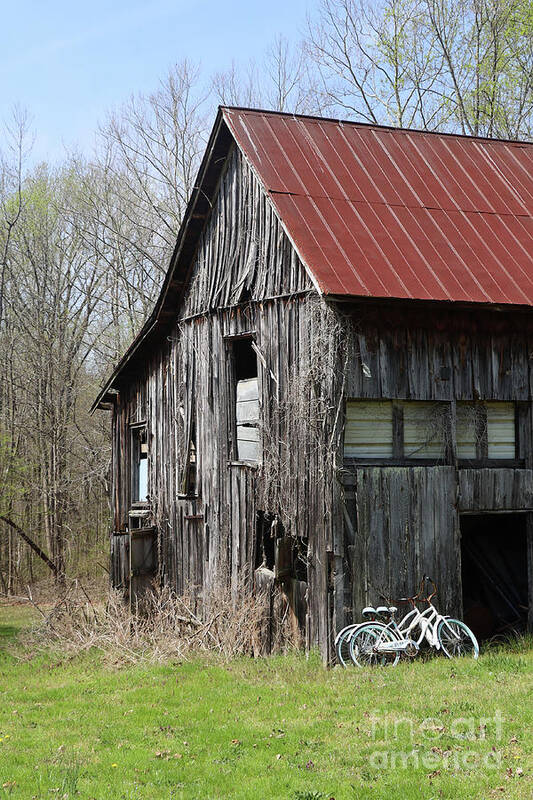 Barn Art Print featuring the photograph Barn in KY no 111 by Dwight Cook