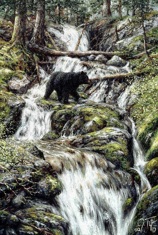 Black Bear Crossing A Stream Art Print featuring the painting Bear Creek Crossing by Jeff Tift