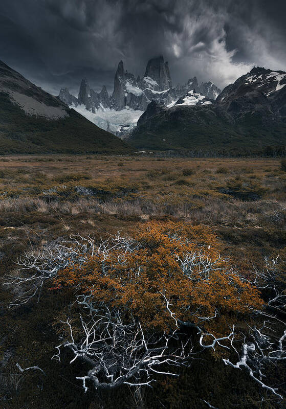 Patagonia Art Print featuring the photograph Before The Storm by Karol Nienartowicz