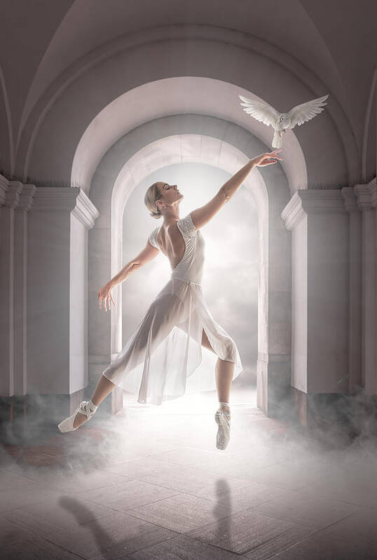 Composite Art Print featuring the photograph Birddance by Marcel Egger