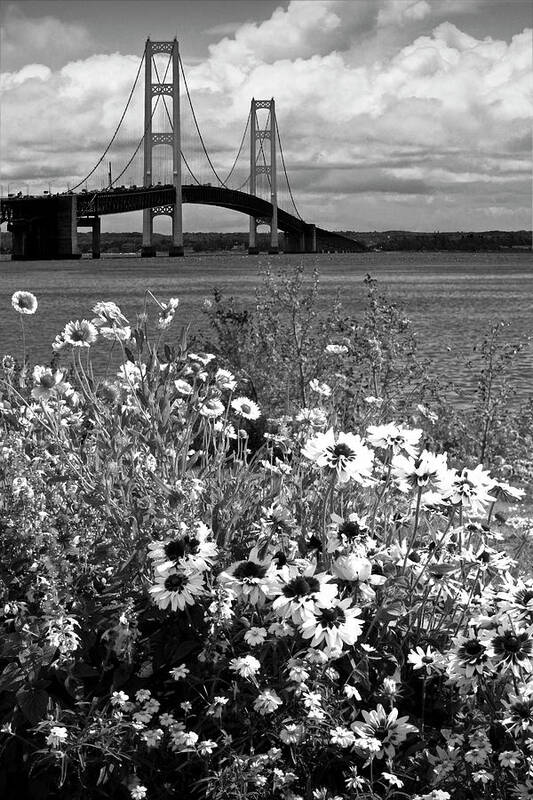 Michigan Art Print featuring the photograph Black and White of Blooming Flowers by the Bridge at the Straits by Randall Nyhof
