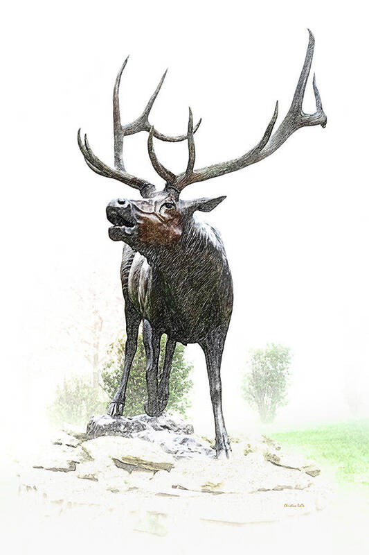 Elk Art Print featuring the mixed media Bull Elk by Christina Rollo