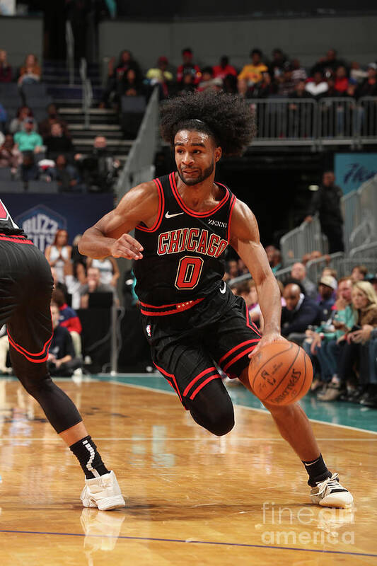 Coby White Art Print featuring the photograph Chicago Bulls V Charlotte Hornets by Kent Smith