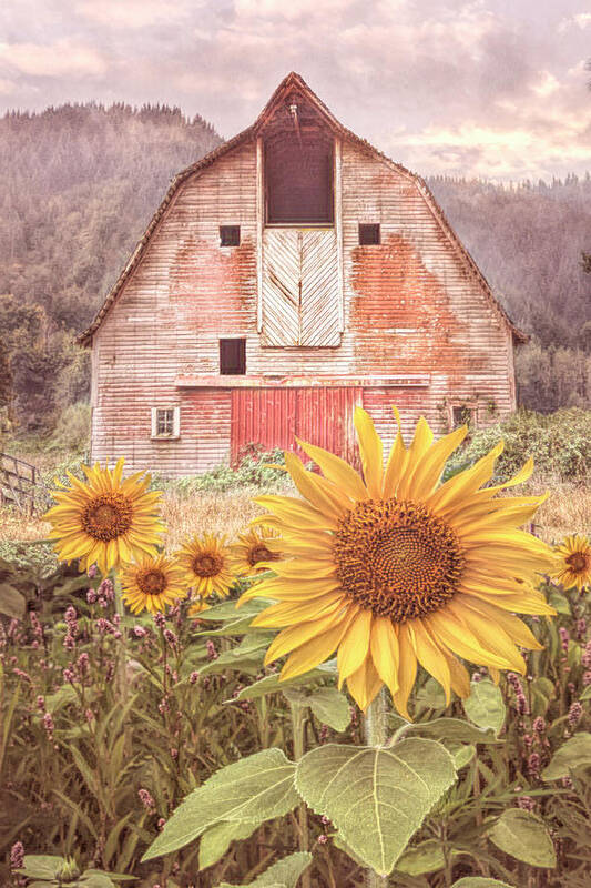 Barns Art Print featuring the photograph Country Rustic by Debra and Dave Vanderlaan