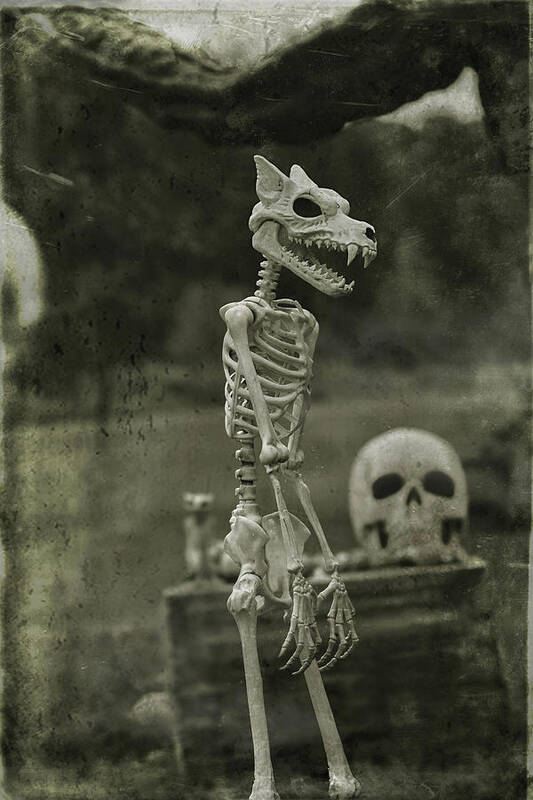 Creepy Art Print featuring the photograph Creepy Vintage Werewolf by Carrie Ann Grippo-Pike
