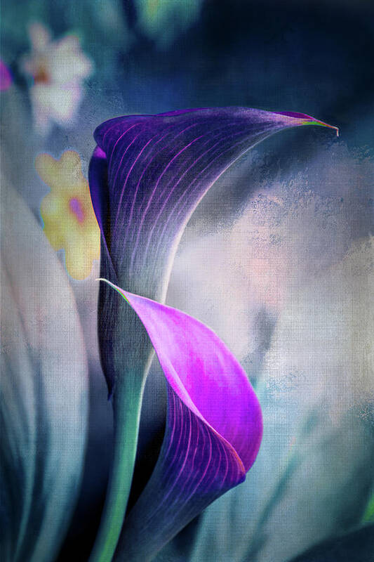 Callalilies Art Print featuring the digital art Dark Textured Lilies by Terry Davis
