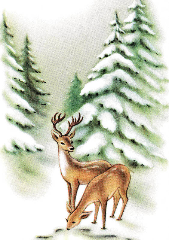 Animal Art Print featuring the drawing Deer in front of pine trees by CSA Images