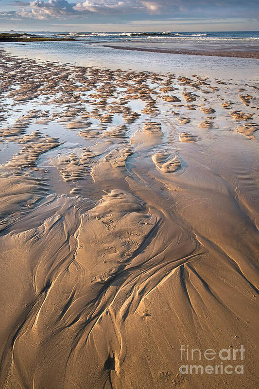 Dunstanburgh Art Print featuring the photograph Dunstanburgh Beach, Northumberland by Philip Preston