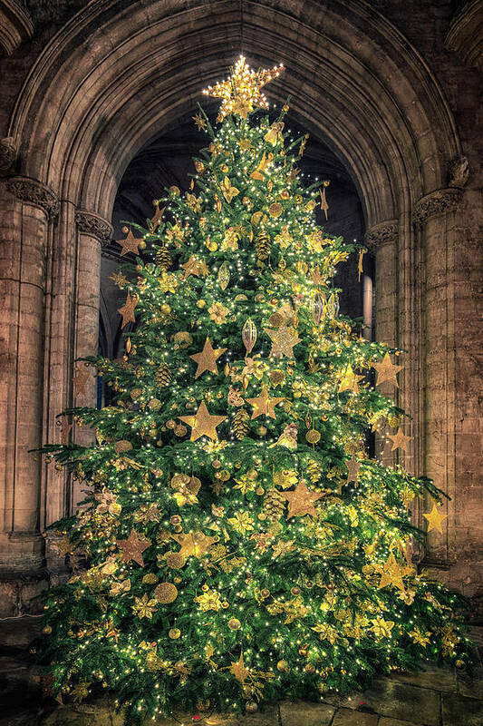 Cambridgeshire Art Print featuring the photograph Ely Cathedral Christmas Tree 2018 by James Billings
