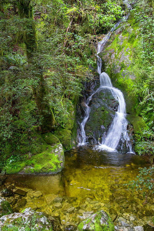 Cascade Art Print featuring the photograph Fiordland National Park by David L Moore