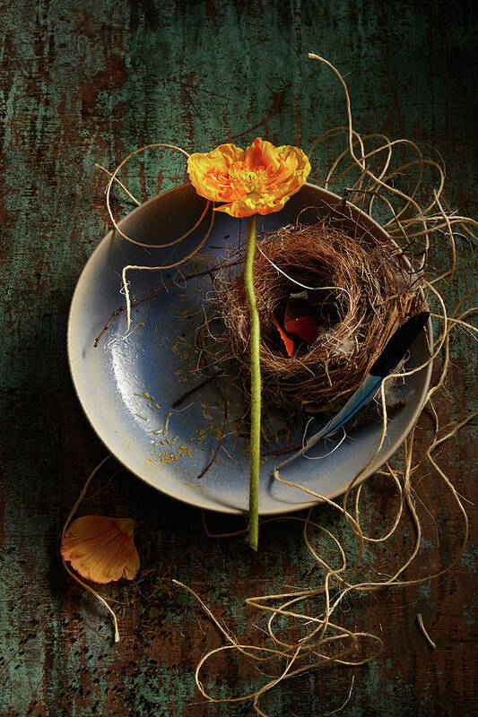 Orange Color Art Print featuring the photograph Flower And Nest -elements Of Spring by Laurie Rubin