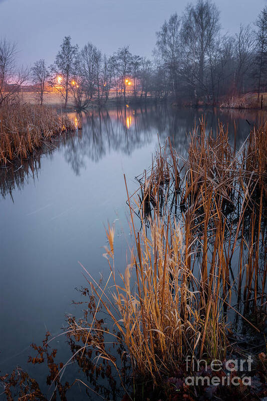 Sweden Art Print featuring the photograph Foggy pond landscape in evening by Sophie McAulay