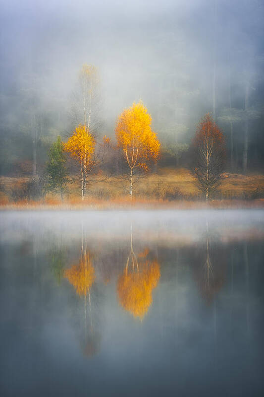 Autumn Art Print featuring the photograph Frame Of Autumn by Anghel Rusu