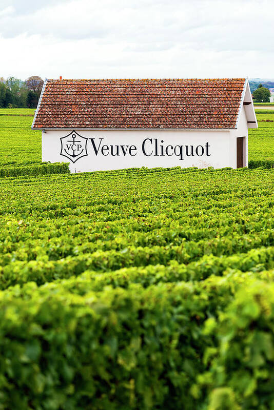 Veuve Clicquot champagne tour, France