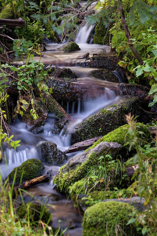 Fresh Water Art Print featuring the photograph Cascading Creek by David L Moore