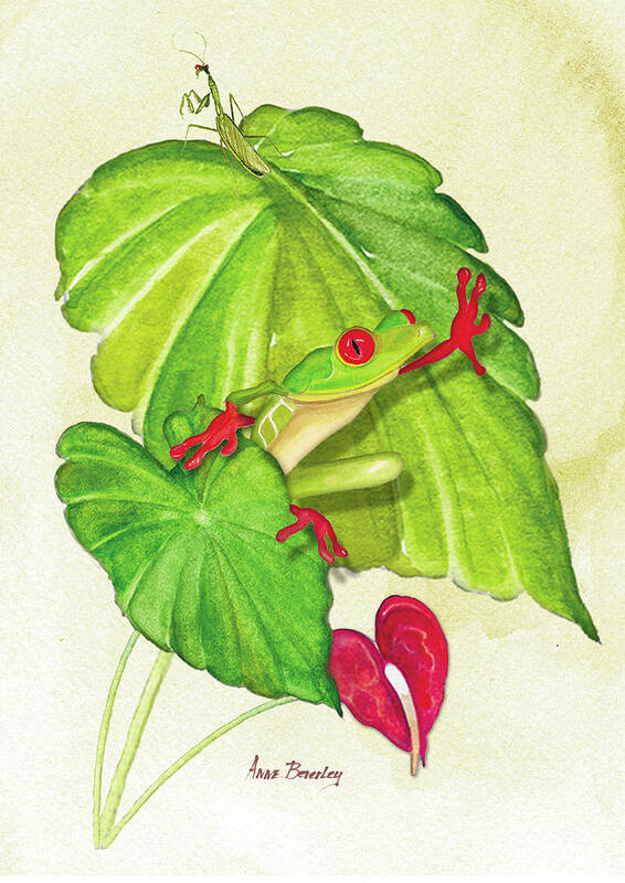 Frog Art Print featuring the painting Frog On Leaf by Anne Beverley-Stamps
