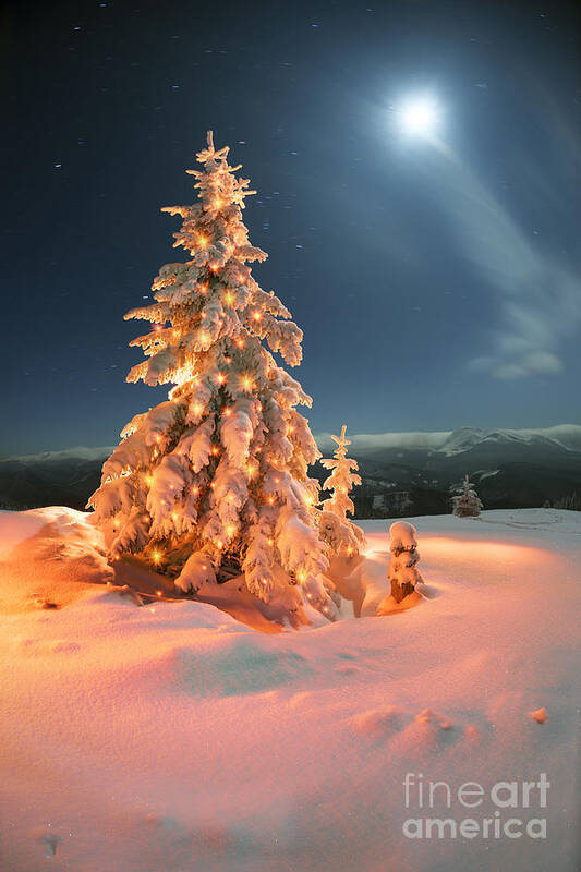 Forest Art Print featuring the photograph Frosty Winter Night Of Christening - by Roman Mikhailiuk