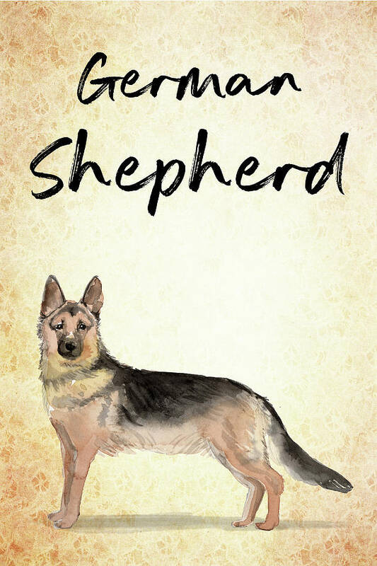 German Shepherd Art Print featuring the painting German Shepherd by Matthias Hauser