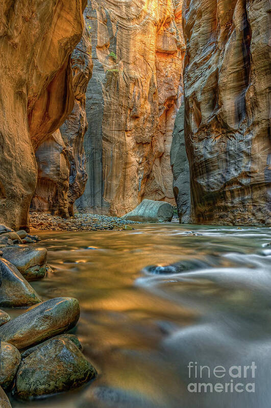 Zion National Park Art Print featuring the photograph Glow in The Narrows by Tibor Vari