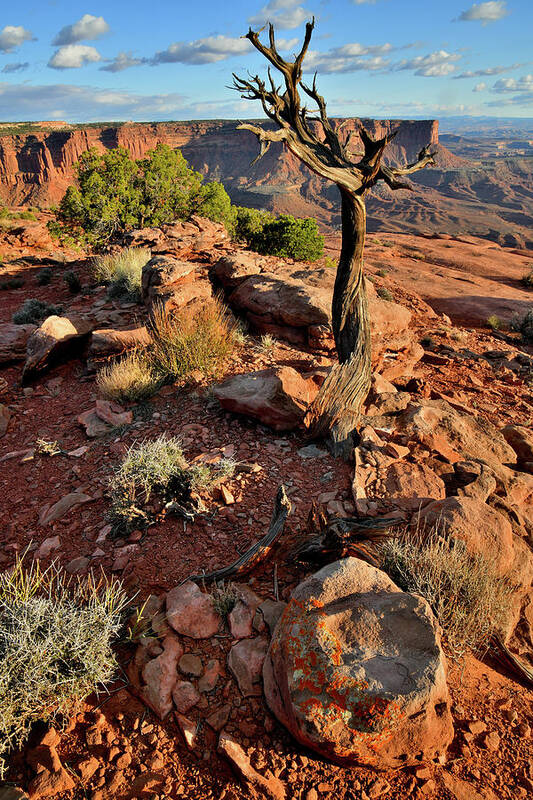 Canyonlands National Park Art Print featuring the photograph Grand View Point from Green River Overlook by Ray Mathis