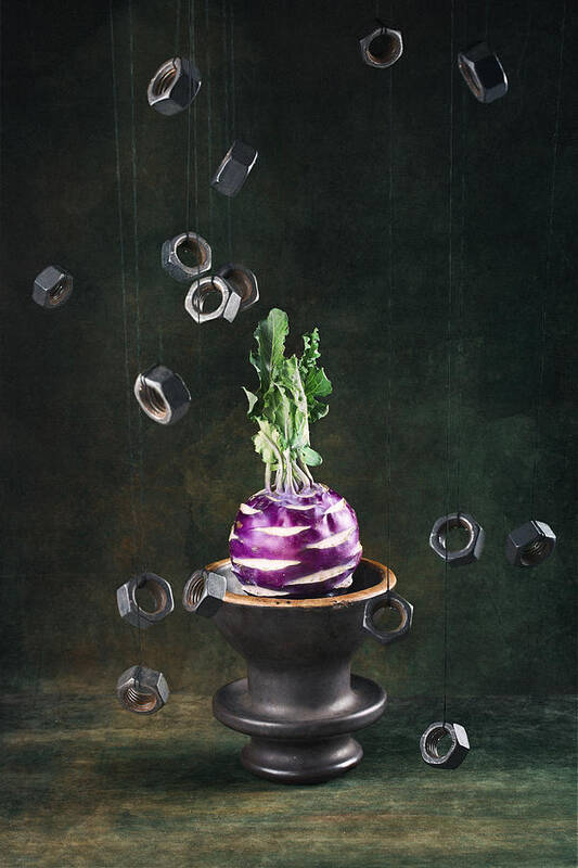 Still Life Art Print featuring the photograph Gravity by Brig Barkow