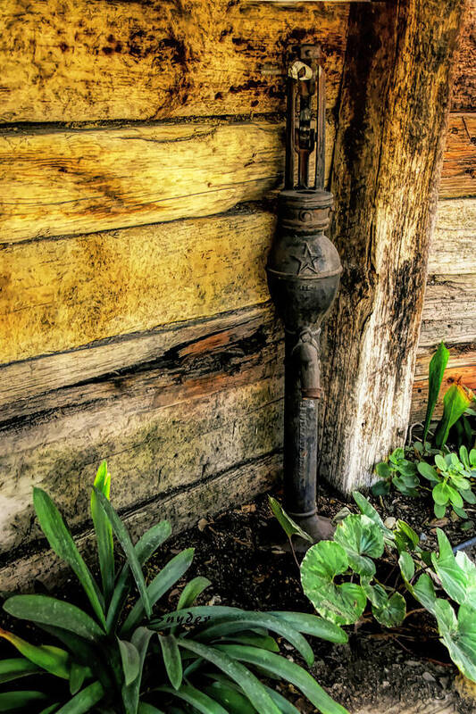 Hand Pump In The Flower Bed Art Print featuring the photograph Hand Pump in the Flower Bed by Floyd Snyder