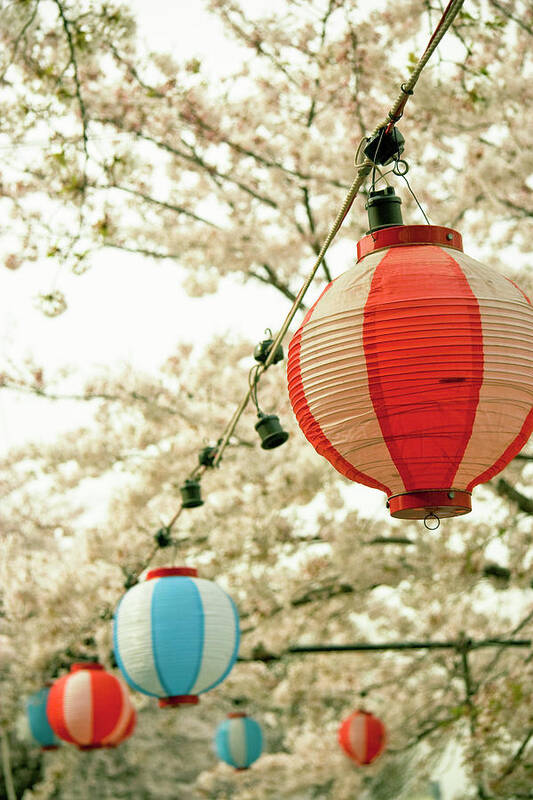 Hanging Art Print featuring the photograph Hanging Lanterns by Masahiro Makino