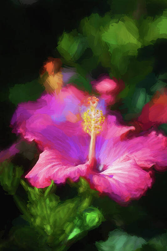 Nature Art Print featuring the photograph Hibiscus Painted Lady 109 by Rich Franco