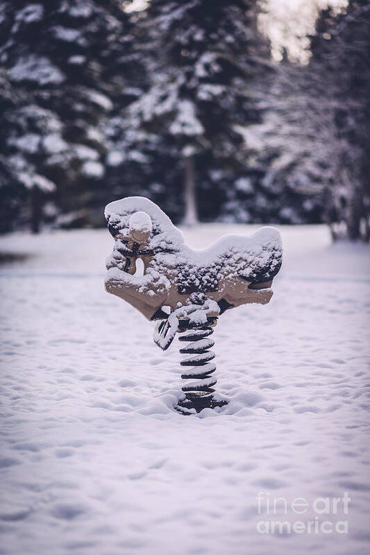 Snow Art Print featuring the photograph Horse Covered In Snow by Patrick Chondon