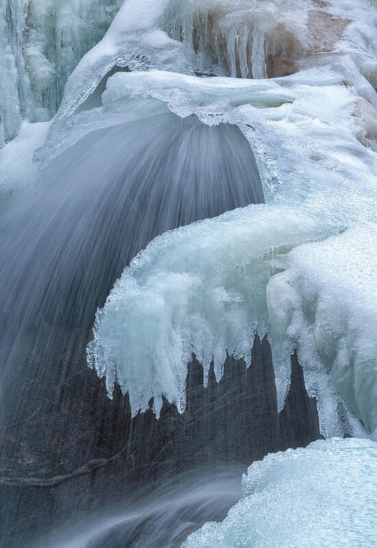 Ice Art Print featuring the photograph Iced by Darren White