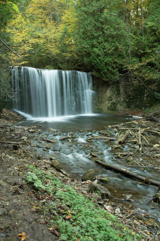 Hogg's Falls Conservation Area Art Print featuring the photograph Hogg's Falls by John Rowley