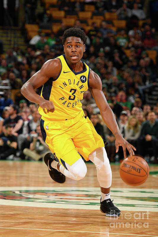 Aaron Holiday Art Print featuring the photograph Indiana Pacers V Boston Celtics by Steve Babineau
