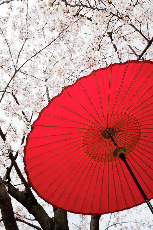 Scenics Art Print featuring the photograph Japanese Umbrella by Ooyoo
